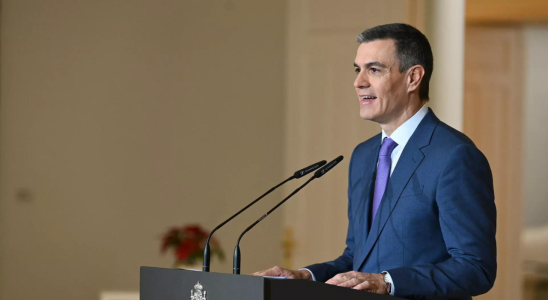 Der spanische Ministerpraesident Pedro Sanchez ernennt neuen Wirtschaftsminister