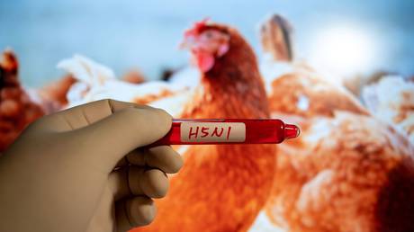 EU Staat meldet „hochpathogenen Vogelgrippe Ausbruch – World
