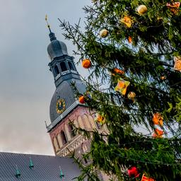 Frau wurde auf belgischem Weihnachtsmarkt von umstuerzendem Weihnachtsbaum getoetet
