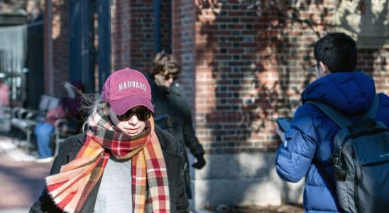 Harvard Streit um Antisemitismus Die fruehen Bewerbungen fuer das Harvard
