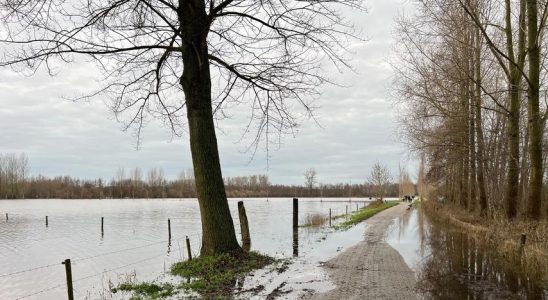 Hochwasser in den Niederlanden Wir koennen es abpumpen aber auch