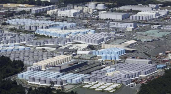 Kernkraftwerk Fukushima Die Sanierung des japanischen Kernkraftwerks Fukushima steht vor