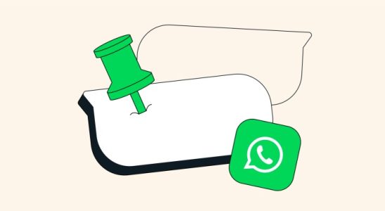 Mit WhatsApp koennen Sie jetzt Nachrichten in Einzel und Gruppenchats