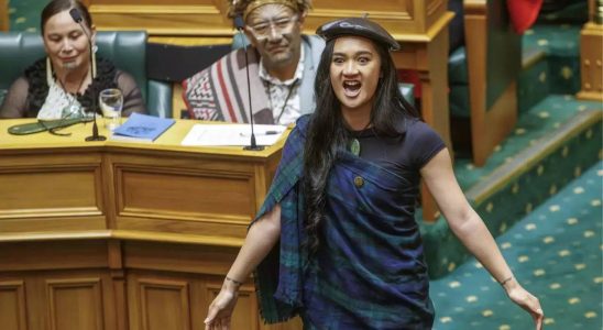 Neuseelaendische Regierung Tausende protestieren gegen die indigene Politik der neuseelaendischen