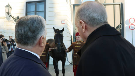 Orban schenkt Erdogan ein Pferd VIDEO – World