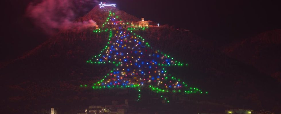 Sind Sie auf der Suche nach einem nachhaltigen Weihnachtsbaum „Die