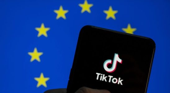 TikTok verspricht europaeische Investitionen in Hoehe von 12 Milliarden Euro