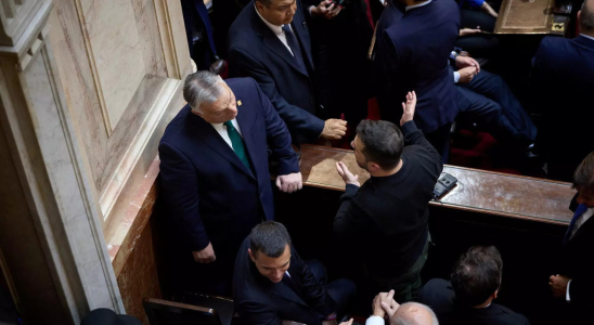 Tollwut Zelenskiyy wurde kurz im Gespraech mit Ungarns Orban in