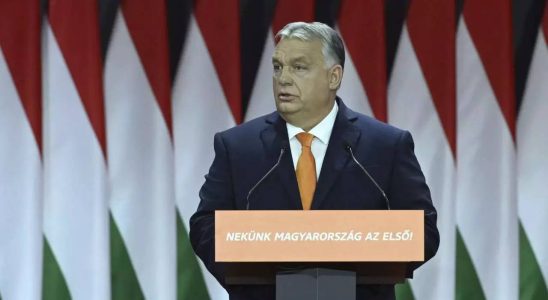 Ungarn lehnt EU Gespraeche mit der Ukraine ab und ist offen