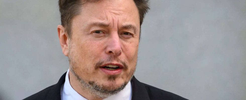 Vielfalt Elon Musk sagt Vielfalt Gerechtigkeit und Inklusion seien „Propagandawoerter