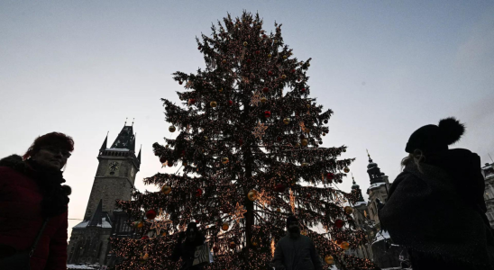 Weihnachtsbaum Frau wurde auf belgischem Marktplatz von umstuerzendem Weihnachtsbaum getoetet