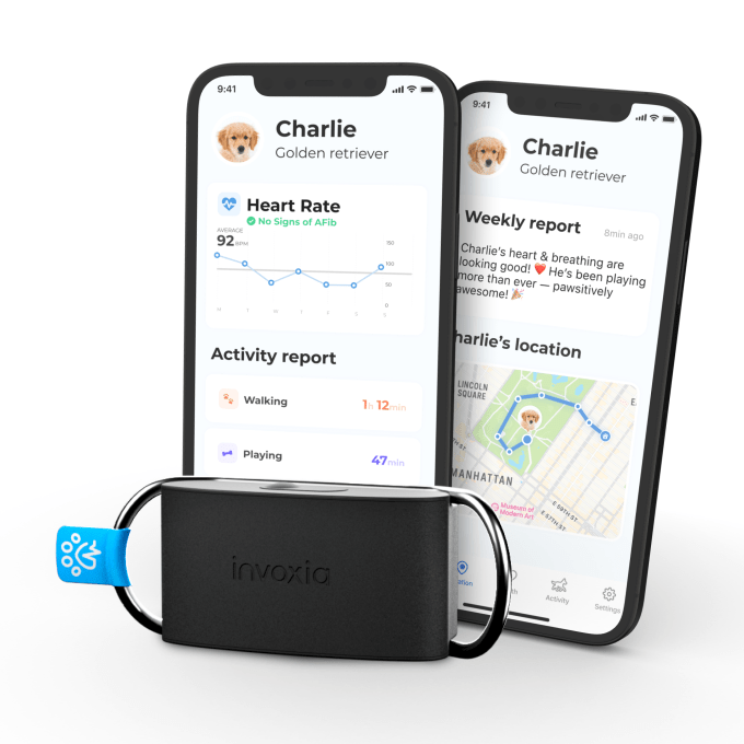 Die Begleit-App des Minitailz-Geräts von Invoxia zeigt Ihnen Gesundheits- und Aktivitätsdaten über Ihr Haustier