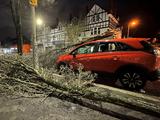 Storm Isha trekt over Nederland na grote problemen veroorzaakt te hebben in VK