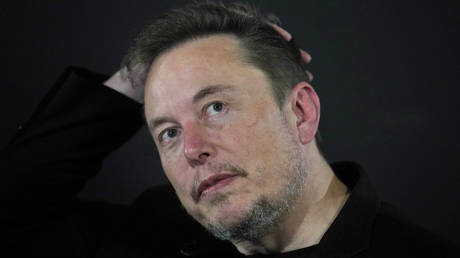 2024 wird „noch verrueckter – Elon Musk – World