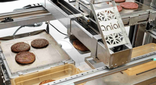 Aniai bringt fuer 12 Millionen US Dollar einen Burger Kochroboter in Restaurants