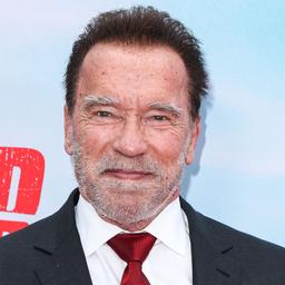 Arnold Schwarzenegger wird wegen Wache vom deutschen Zoll festgenommen