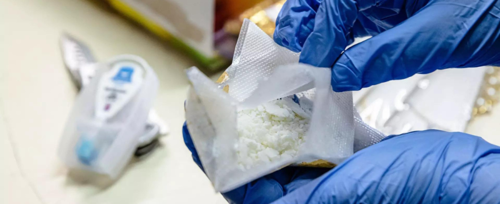 Belgischer Zoll beschlagnahmt Rekordmenge Kokain im Hafen von Antwerpen da