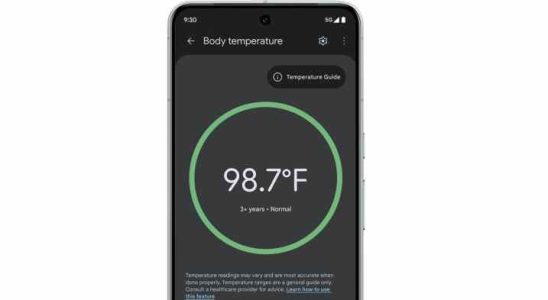 Benutzer von Pixel 8 Pro koennen jetzt die Thermometer App verwenden