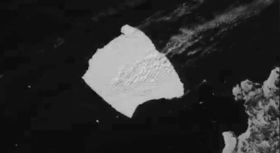 Der groesste Eisberg der Welt schwimmt von der Antarktis weg