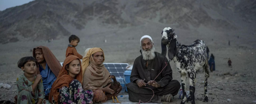 Eine halbe Million Afghanen kehren aus Pakistan zurueck Internationale Organisation
