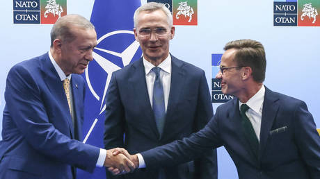 Erdogan stimmt NATO Erweiterung zu – World