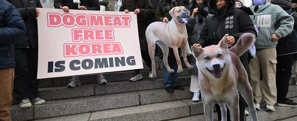 Gesetzentwurf zum Verbot von Hundefleisch Nachrichten Das suedkoreanische Parlament verabschiedet