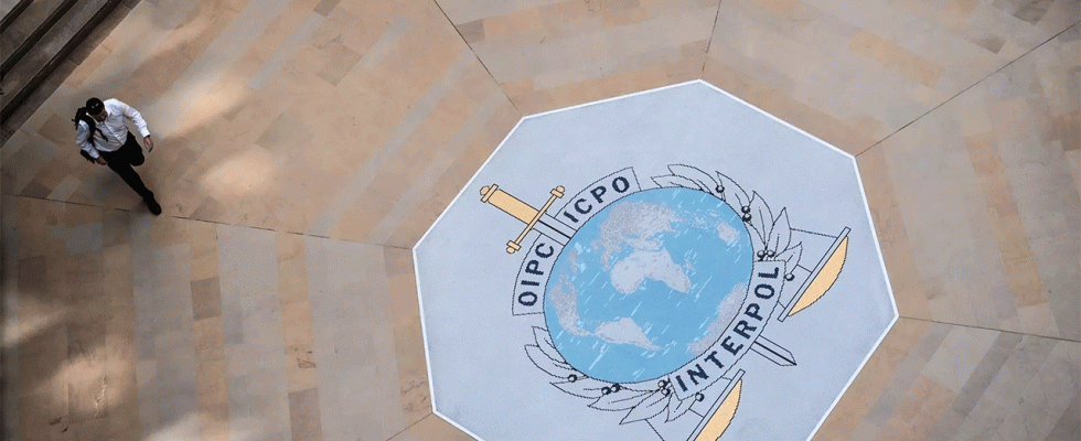 Interpol warnt vor Metaverse Verbrechen Herausforderungen und Bedrohungen