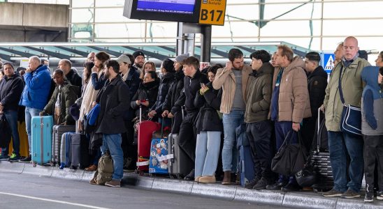 NS berichtet dass der Zugverkehr rund um Schiphol zum normalen