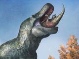 Neue Tyrannosaurus Art entdeckt die sogar groesser war als der bekannte