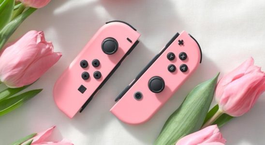 Nintendo enthuellt pinkfarbene Joy Con Switch Controller zusammen mit dem neuen Gameplay von