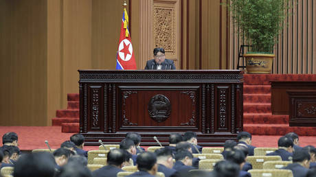 Nordkorea gibt die Hoffnung auf eine friedliche Wiedervereinigung auf –
