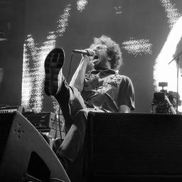 Rage Against The Machine sagen Tour ab „Werden nicht mehr