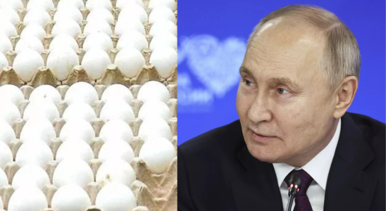 Russland bittet um Eierlieferungen aus Kasachstan um steigende Preise einzudaemmen