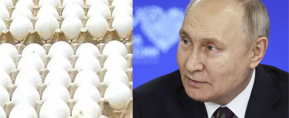 Russland bittet um Eierlieferungen aus Kasachstan um steigende Preise einzudaemmen