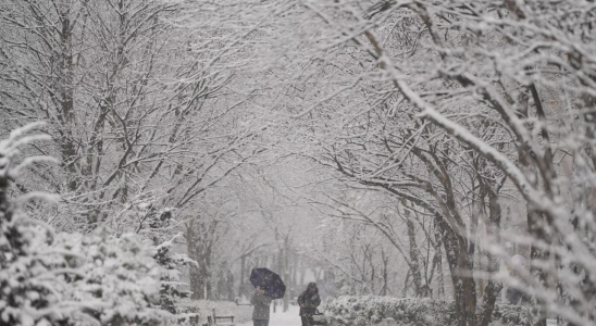 Suedkorea Suedkoreas Hauptstadt verzeichnet im Dezember den staerksten eintaegigen Schneefall