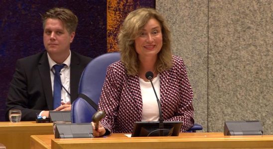 Umweltverein klagt weil Binnenhof ohne Genehmigung renoviert wird Inlaendisch
