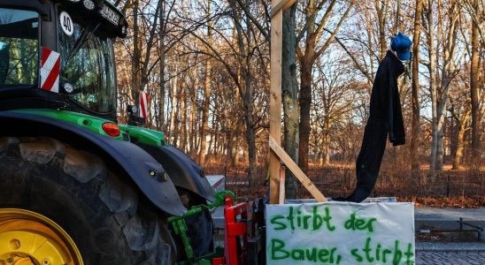 Warum deutsche Bauern massenhaft gegen die Agrarpolitik demonstrieren Im
