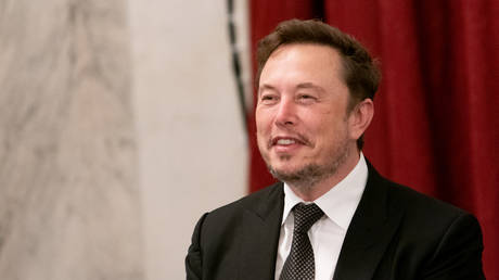 Was steckt hinter dem juengsten Angriff auf Elon Musk —