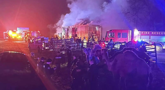 Zirkustiere gerettet nachdem Lastwagen auf dem Highway in Indiana Feuer