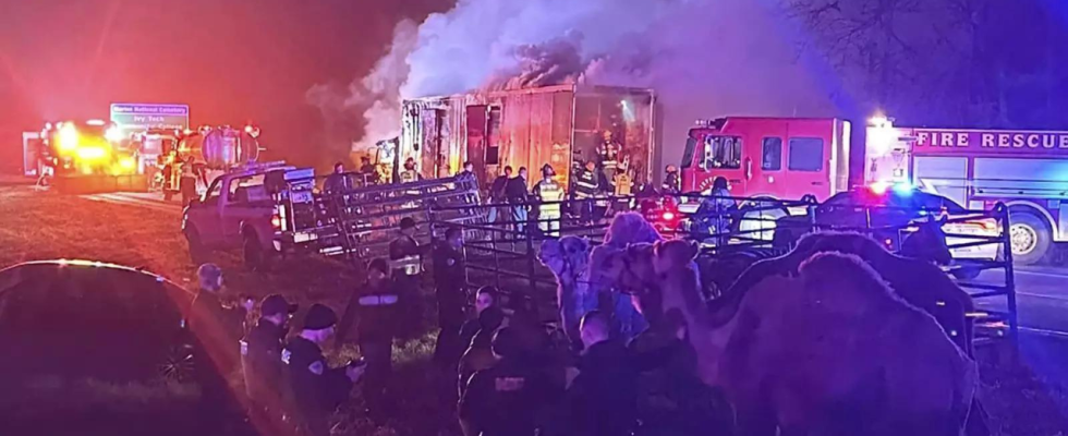 Zirkustiere gerettet nachdem Lastwagen auf dem Highway in Indiana Feuer