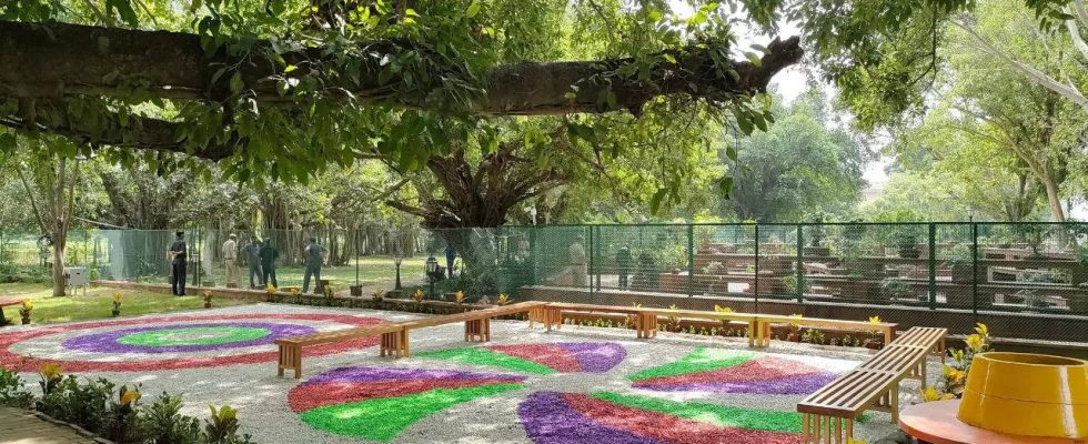 Amrit Udyan Eroeffnung Mughal Gardens Online Ticketbuchung Zeitplaene und mehr