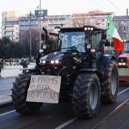 Bei den europaeischen Bauernprotesten geht es nicht um Stickstoff sondern