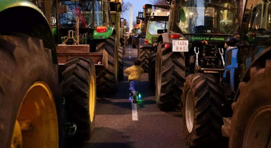 Britische Landwirte planen Blockaden nach franzoesischem Vorbild gegen billige Post Brexit Importe