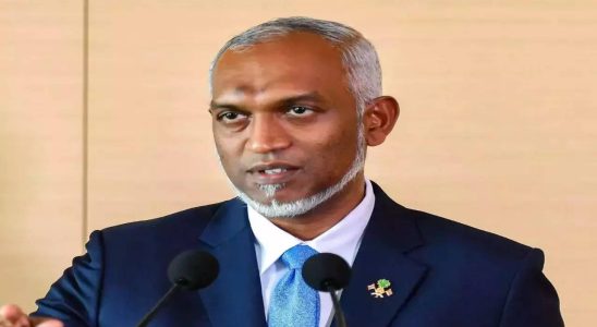 Der ehemalige Aussenminister der Malediven haelt die Behauptung von Praesident