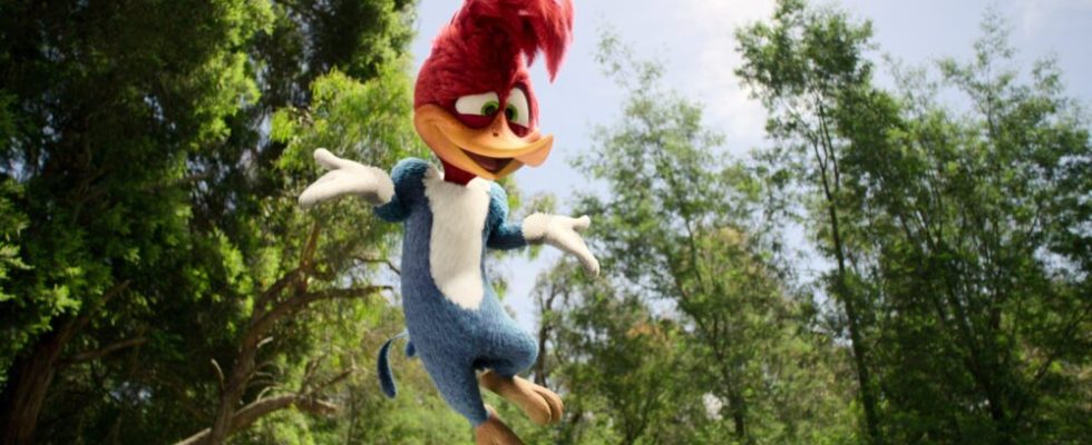 Der erste Blick auf „Woody Woodpecker auf Netflix wird Ihnen