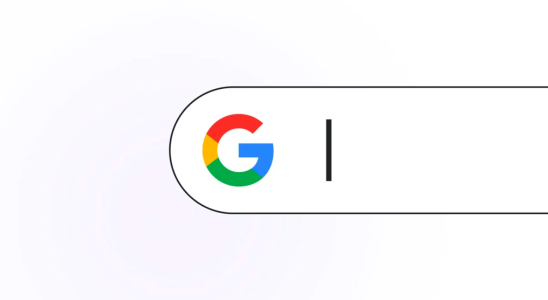Die Google Suche verliert diese Webseitenfunktion