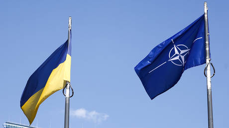 Die Ukraine sollte sich keine Hoffnungen auf ein NATO Angebot machen