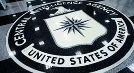 Ehemaliger CIA Computeringenieur wird zu 40 Jahren Gefaengnis verurteilt weil er