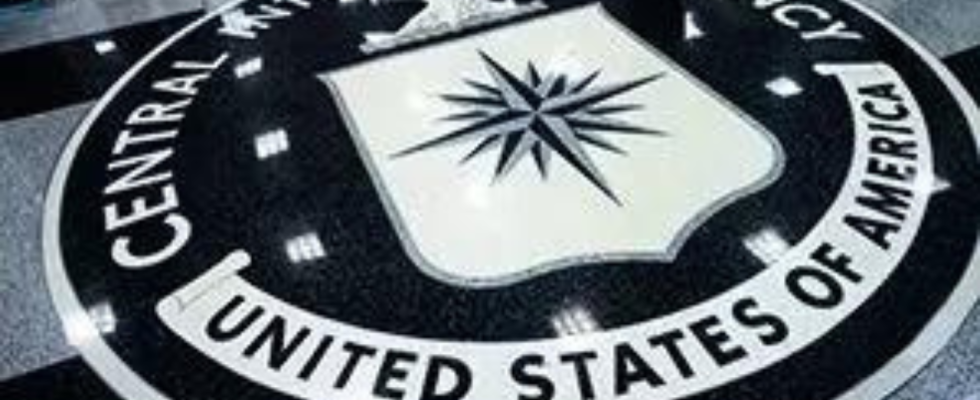 Ehemaliger CIA Computeringenieur wird zu 40 Jahren Gefaengnis verurteilt weil er