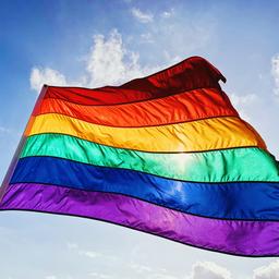 Erste Verurteilungen in Russland wegen Regenbogen seit Verbot der LGBTIQ Bewegung